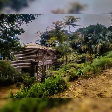 Jungle Tree House Rangala Bed & Breakfast Kandy Luaran gambar