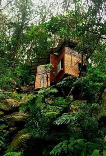 Jungle Tree House Rangala Bed & Breakfast Kandy Luaran gambar
