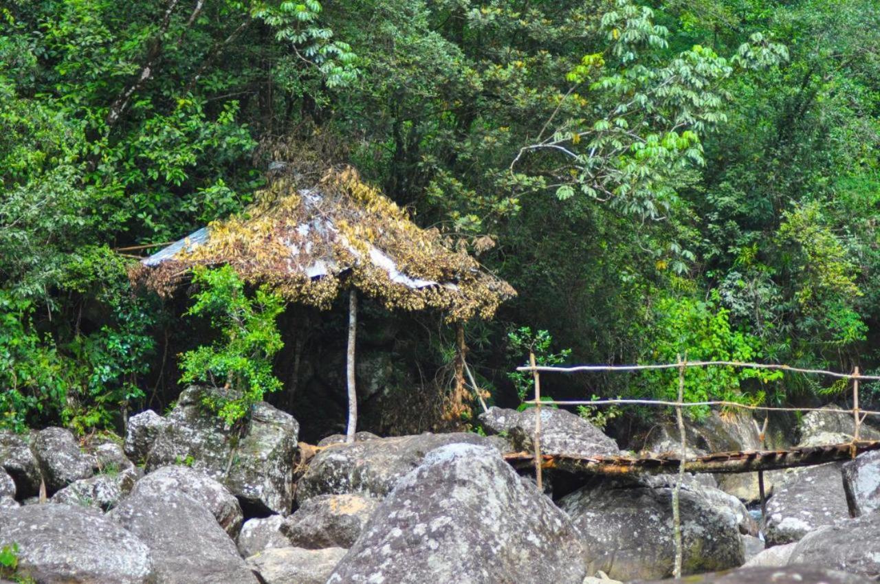Jungle Tree House Rangala Bed & Breakfast Kandy Luaran gambar